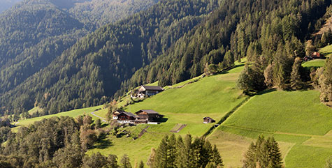 Malghe su un prato in Val Pusteria