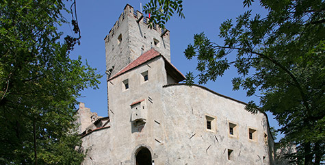Schloß Bruneck zwischen grünen Bäumen