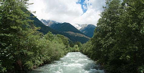 Fiume Aurino di Lutago che scorre tra gli alberi