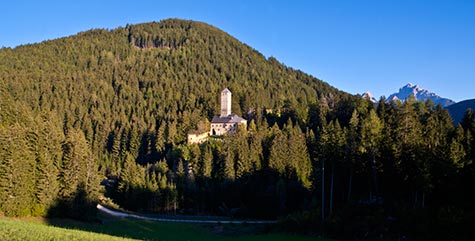 Castello di Monguelfo immerso nel bosco di pini