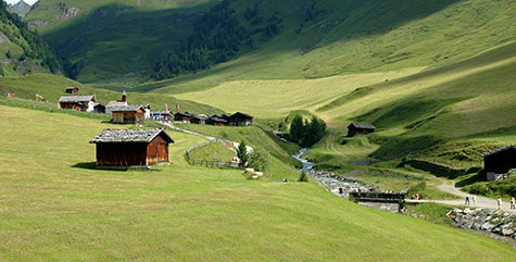 Malghe sull'Alpe di Fane sopra il paese di Valles