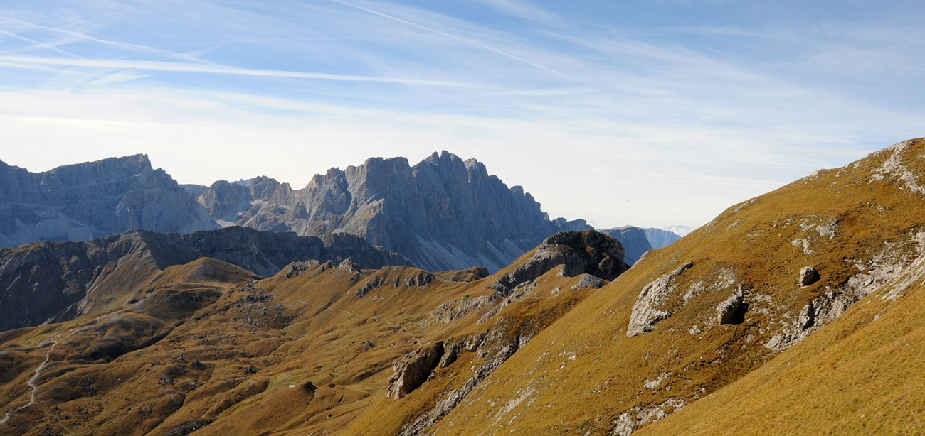 brunico